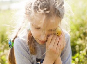 Divorce and Financial Resolutions – Child Maintenance